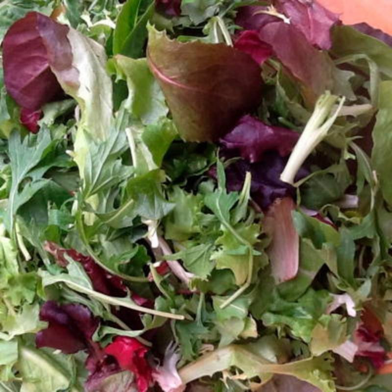 Mesclun de printemps et d'été piquant Mesclun de printemps et d'été piquant