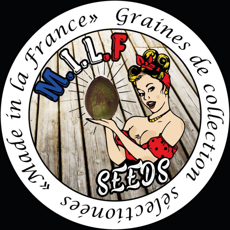 De fonteney féminisée milf seeds De fonteney féminisée milf seeds