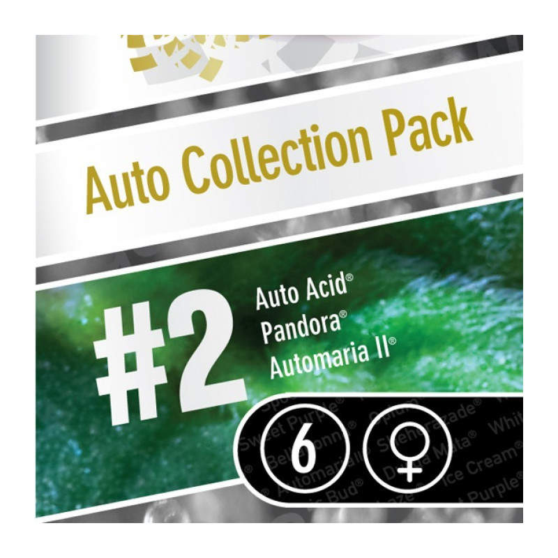 Auto collection pack 2 paradise seeds féminisée Auto collection pack 2 paradise seeds féminisée