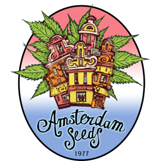 Blue afghan kush amsterdam seeds
