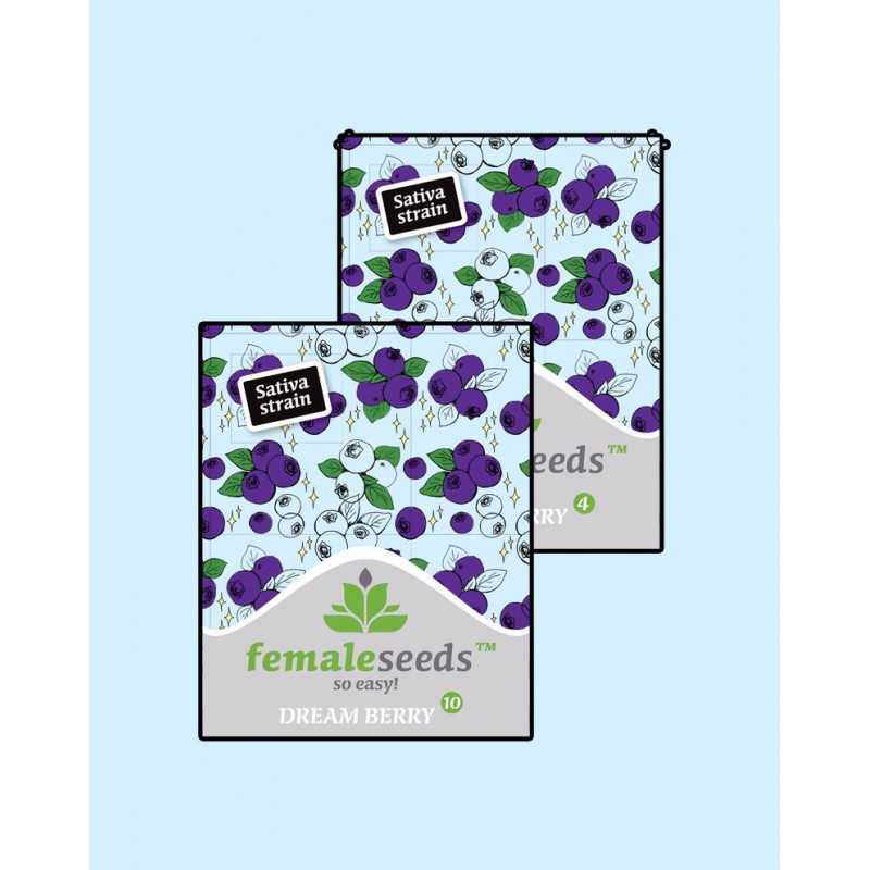 Dream berry female seeds féminisée Dream berry female seeds féminisée
