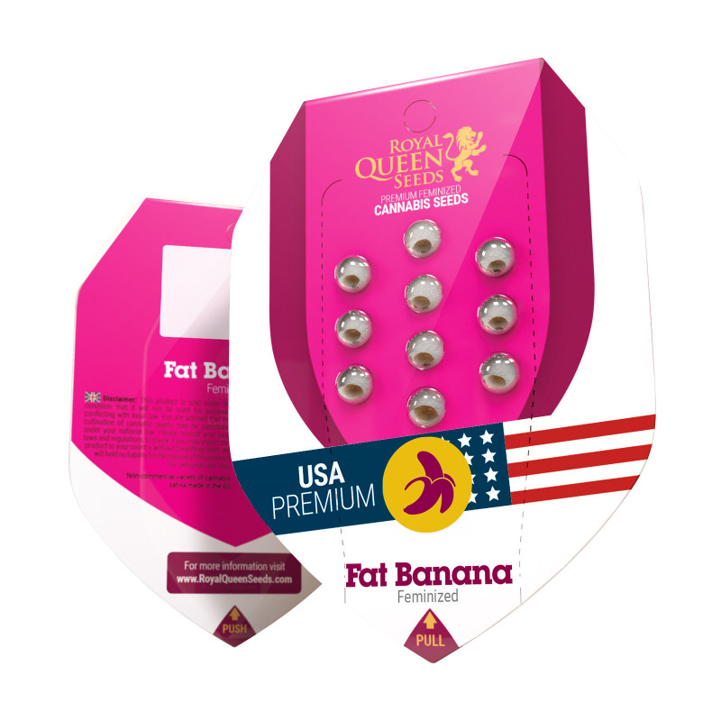 Fat banana féminisée royal queen seeds Fat banana féminisée royal queen seeds
