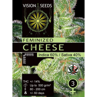Cheese vision seeds féminisée