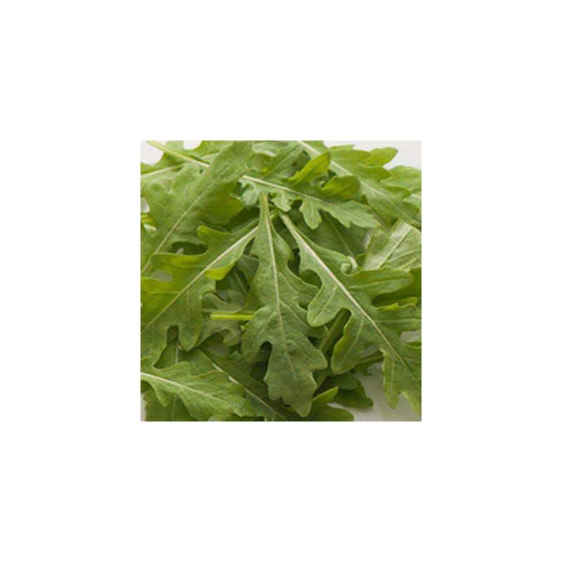 Roquette sylvetta kokopelli sachet de 1 gr Roquette sylvetta kokopelli sachet de 1 gr