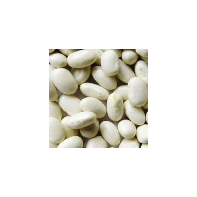 Haricot à écosser coco blanc nain précoce sachet 80 gr Haricot à écosser coco blanc nain précoce sachet 80 gr