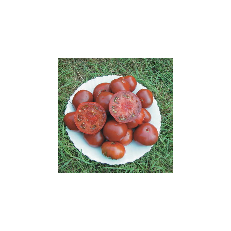 Tomate noire black aisberg bio - sachet de 35 graines Tomate noire black aisberg bio - sachet de 35 graines