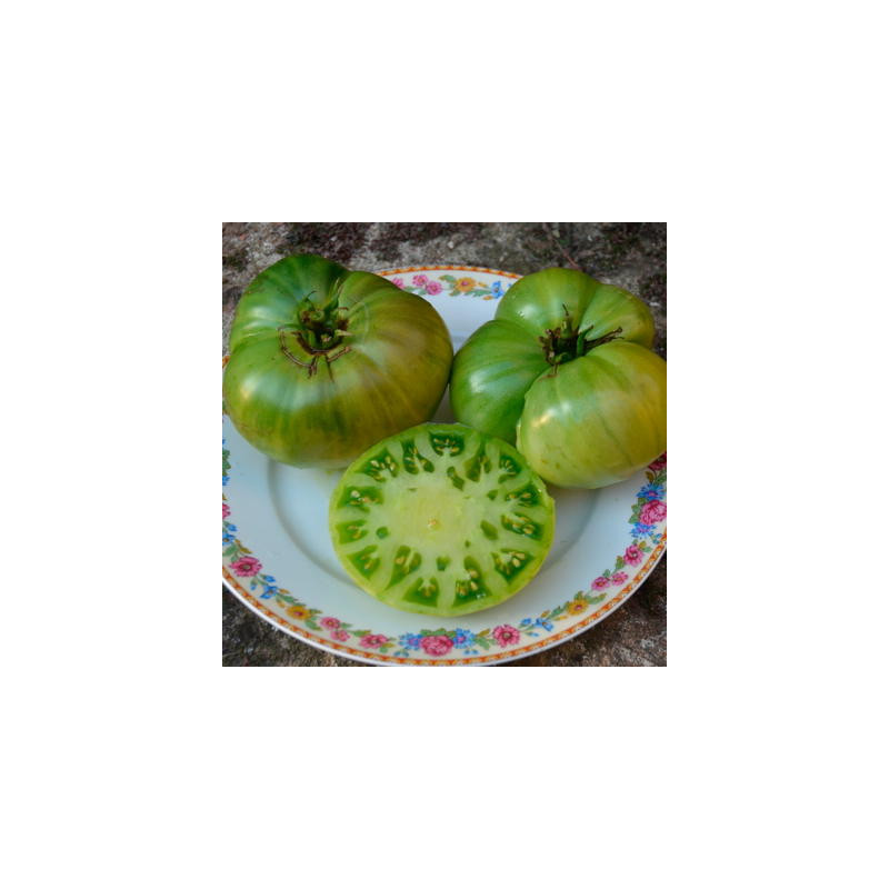 Tomate verte absinthe bio sachet de 35 graines Tomate verte absinthe bio sachet de 35 graines