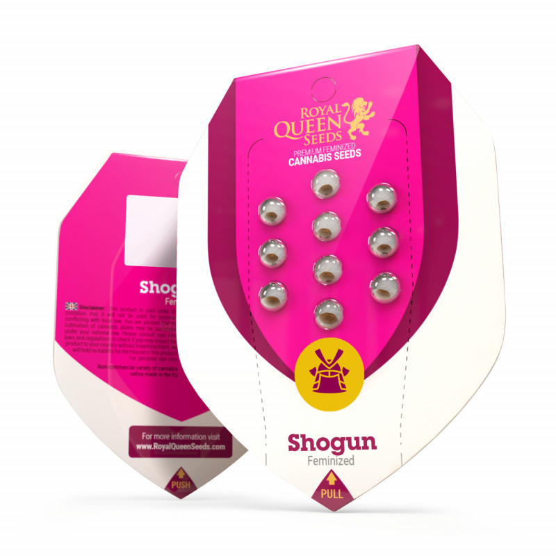 Shogun royal queen seeds féminisée Shogun royal queen seeds féminisée