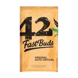 Critical - Autofloraison - FastBuds