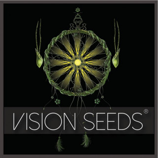 Nicole x OG vision seeds féminisée