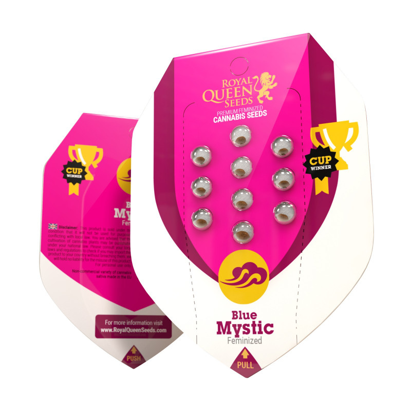Blue mystic royal queen seeds Blue mystic royal queen seeds