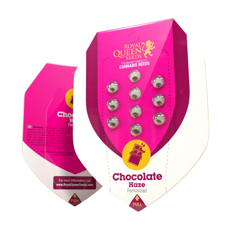 Chocolate haze royal queen seeds Chocolate haze royal queen seeds
