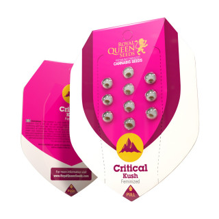 Critical kush royal queen seeds