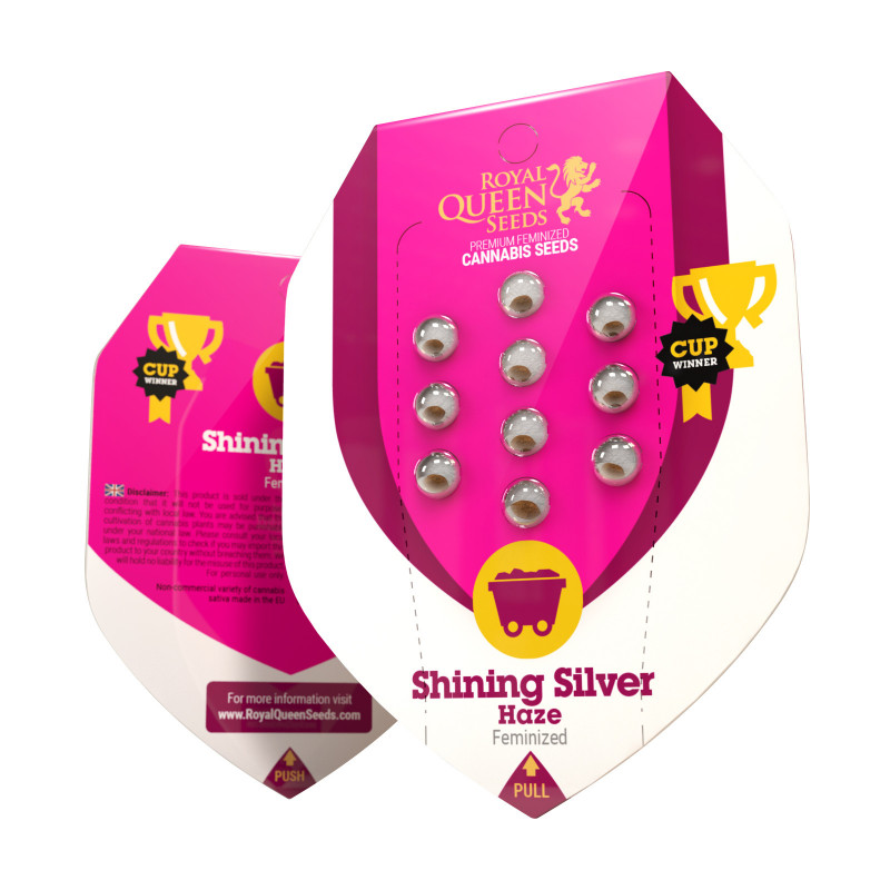 Shining silver haze royal queen seeds féminisée Shining silver haze royal queen seeds féminisée
