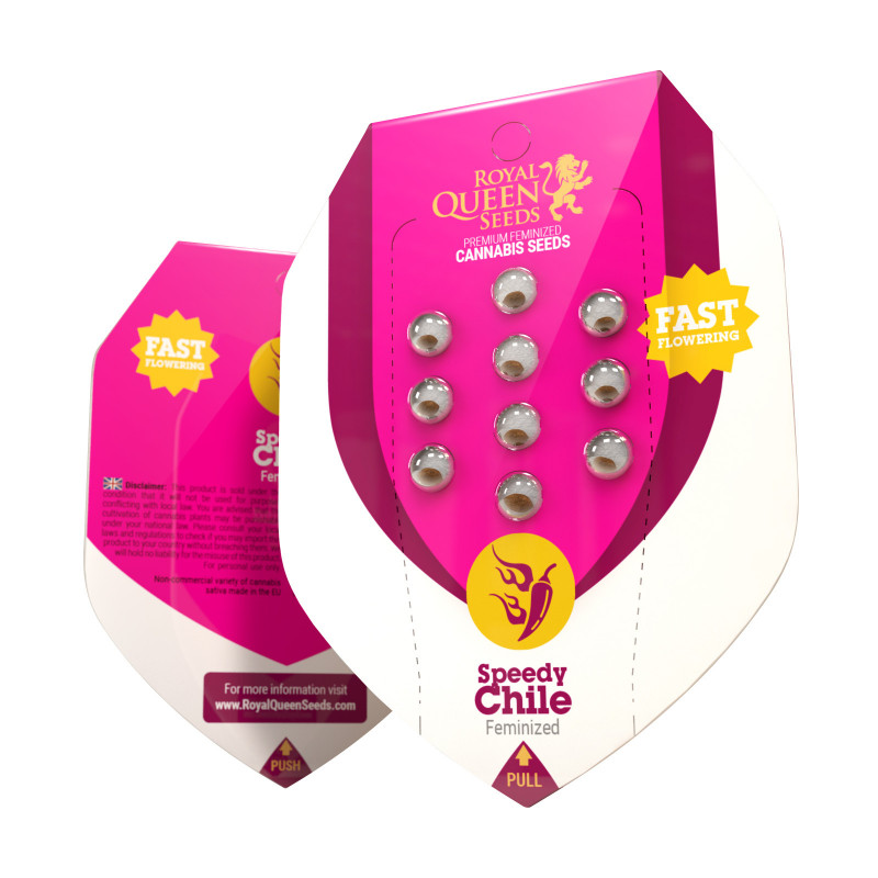 Speedy chile fast version royal queen seeds Speedy chile fast version royal queen seeds