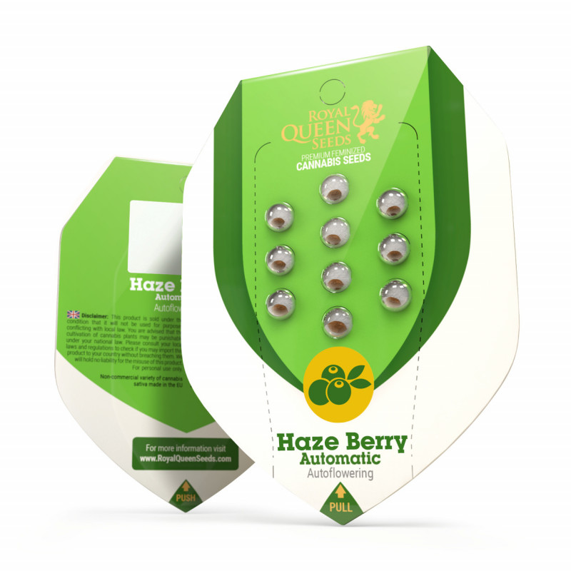 Haze berry automatic royal queen seeds Haze berry automatic royal queen seeds