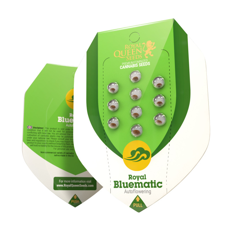 Royal bluematic auto royal queen seeds Royal bluematic auto royal queen seeds