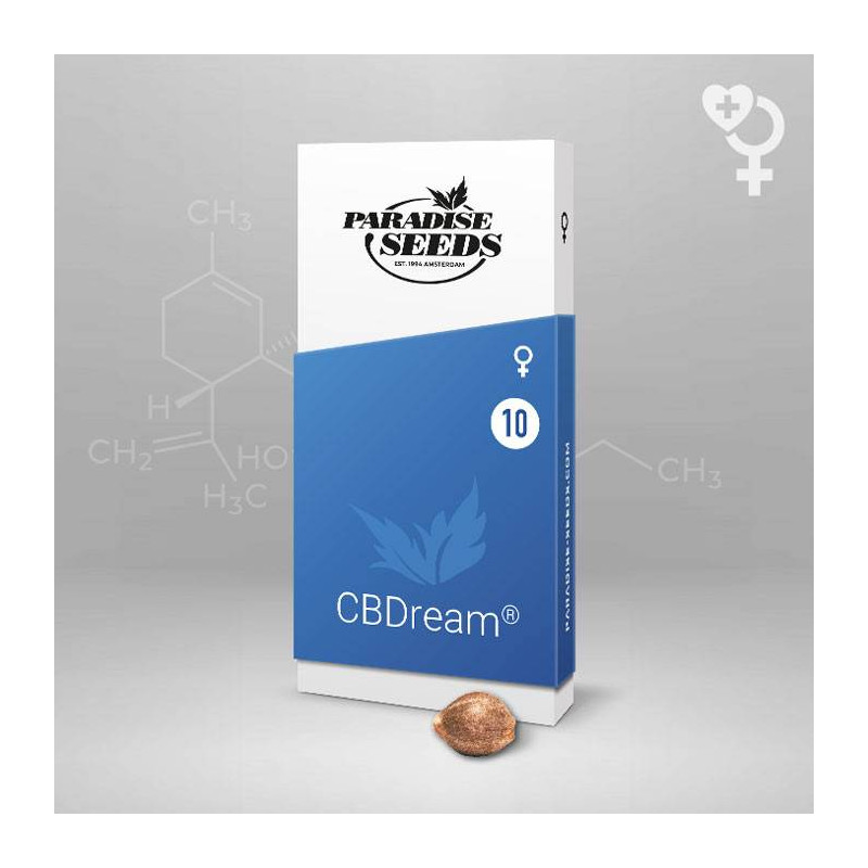 CBDream Paradise Seeds - Féminisée CBDream Paradise Seeds - Féminisée