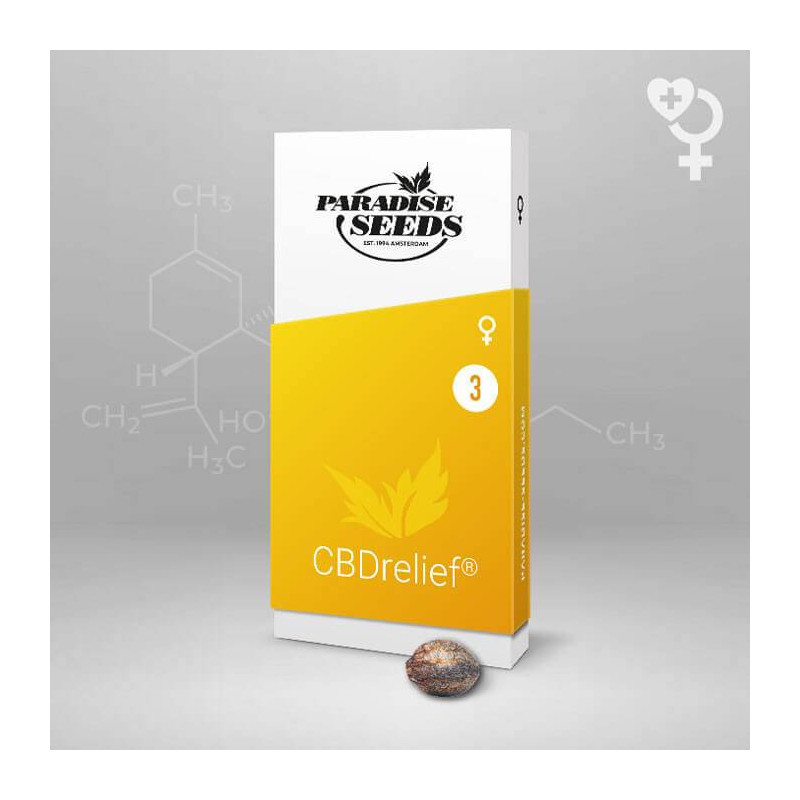 CBD relief Paradise Seeds - Féminisée CBD relief Paradise Seeds - Féminisée