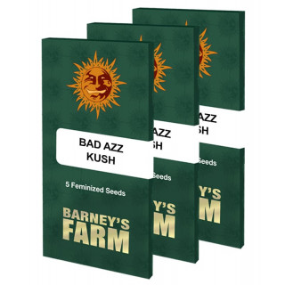 Bad Azz Kush - Barney's Farm