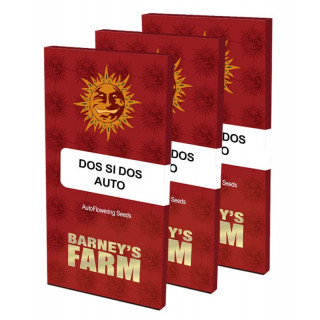 Dos Si Dos Auto - Barney's Farm