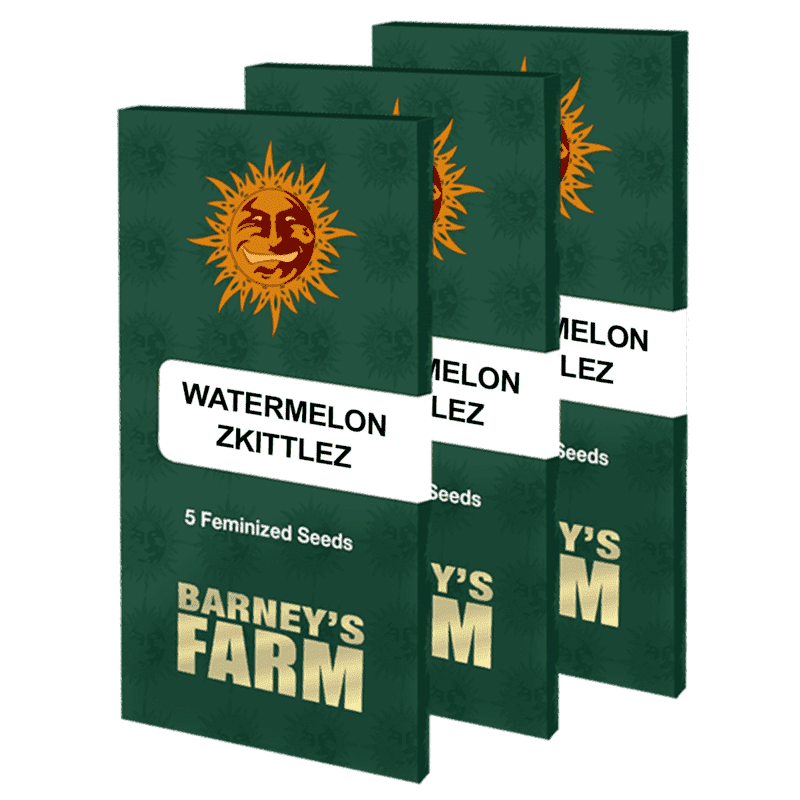 Watermelon Zkittlez - Barney's Farm Watermelon Zkittlez - Barney's Farm