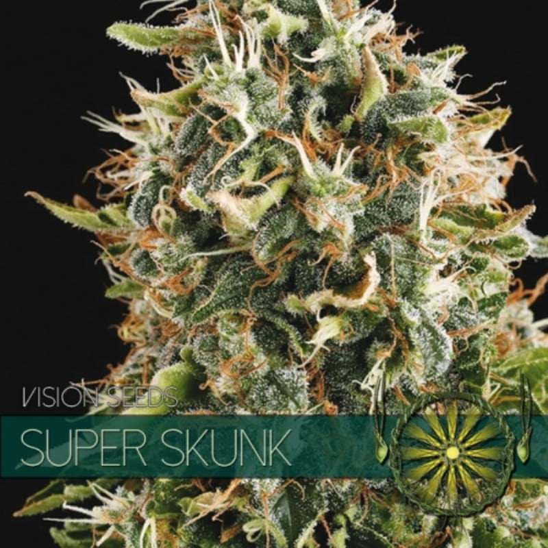 Super skunk - Féminisée - Vision Seeds | ROOTS-SEEDS.FR
