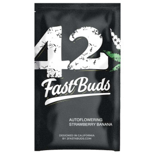 Strawberry Banana - Autofloraison - FastBuds