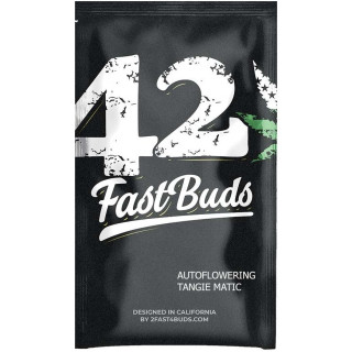 Tangie - Autofloraison - FastBuds