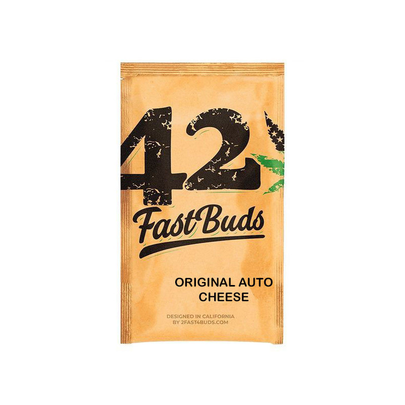 Original auto cheese fastbuds Original auto cheese fastbuds
