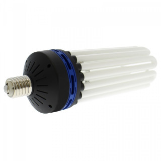 Lampe CFL 300W Croissance Florastar - 6400K°