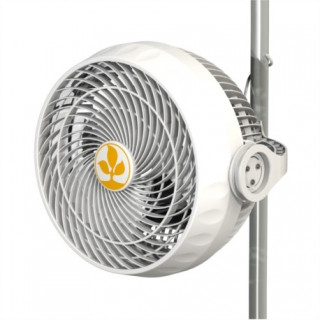 Ventilateur Monkey Fan 30W - 2 vitesses