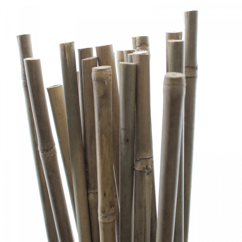 Tuteurs Bambou 150 cm - Pack de 25 pièces Tuteurs Bambou 150 cm - Pack de 25 pièces