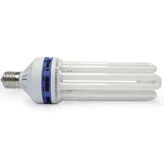 CFL 150W Croissance 6400K° - Agrolite