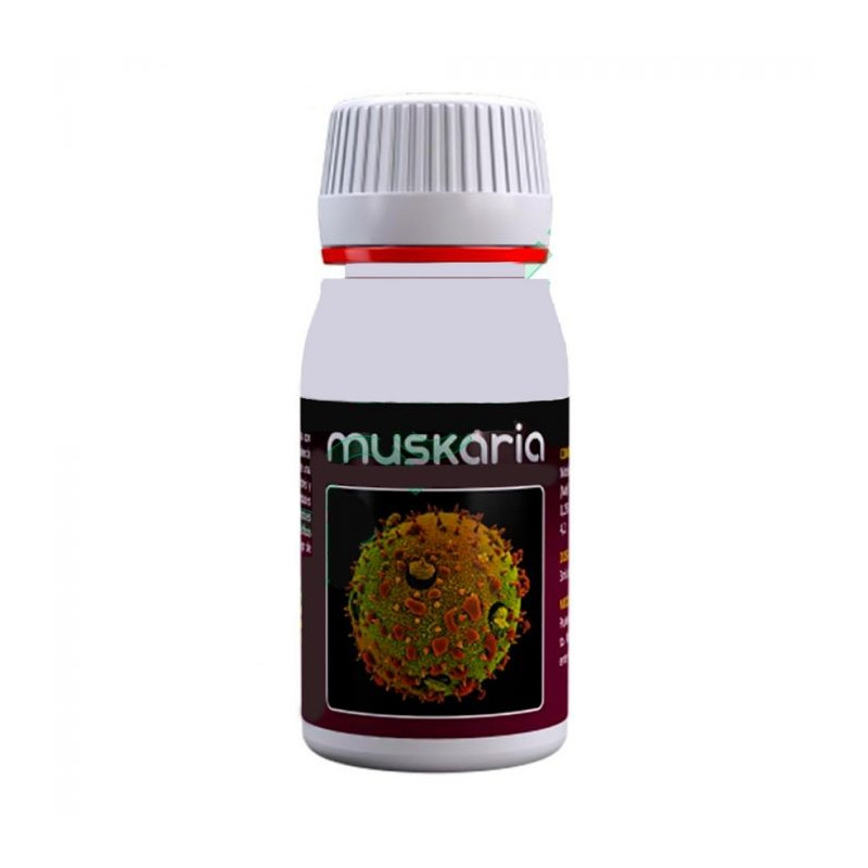 Muskaria - 60 ml Muskaria - 60 ml