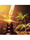 ok Huiles de CBD naturelles et de qualité premium