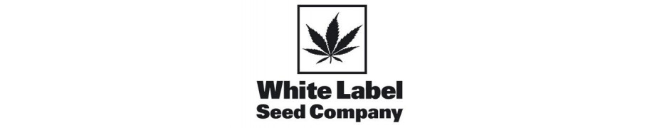 Sensi Seeds - White Label - Graines de Cannabis de Collection