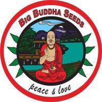 Big Buddha Seeds
