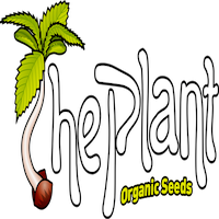 The Plant Organic Seeds