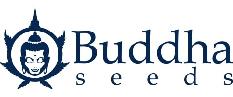 Buddha Seeds