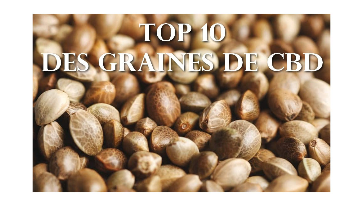 Top 10 des meilleures graines de CBD !