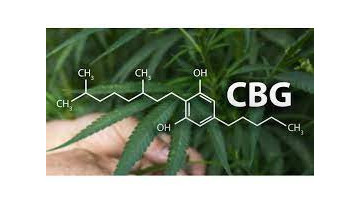 Le CBG : C'est quoi ?