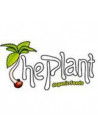 The Plant Organic Seeds