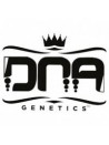 DNA Genetics